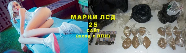 ALPHA PVP Аркадак