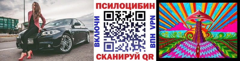 Псилоцибиновые грибы мицелий  Сибай 